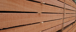 imported wood products | merchants and home depots