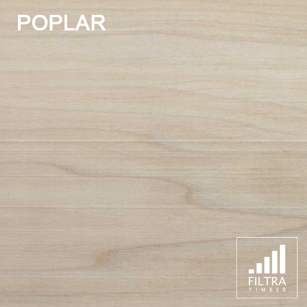 poplar