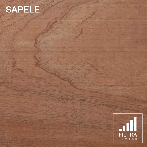 sapele